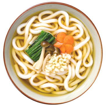 鹿野屋 冷凍うどんセット　ギフト