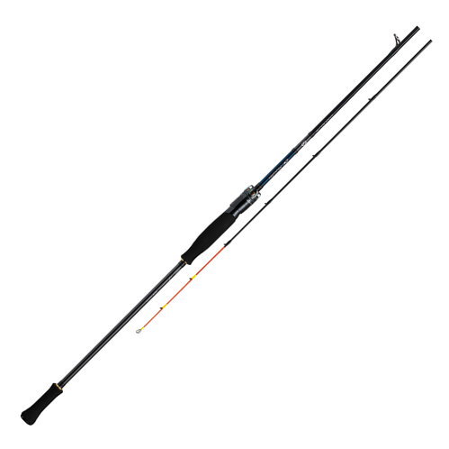 ダイワ　エメラルダス EX イカメタル　N65ULS-SMT(4)