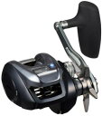 ダイワ 25ティエラ IC 300HL-C