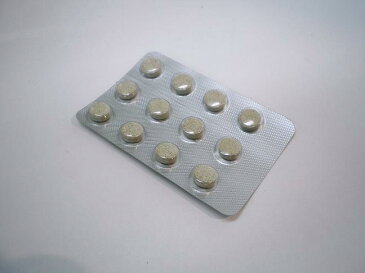 【第2類医薬品】 ユースP錠剤 (プラセンタ 製剤)◆480錠 プラセンタ サプリ サプリメント プラセンタサプリ プラセンタサプリメント 疲れ 疲労 栄養補給 女性 男性 産前 産後