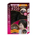 気になる分け目の白髪を5秒でカバー！クイックチェンジ ウィッグ専門卸が生産している商品です。卸から直送ですので、低価格を実現しました。 気になる分け目にサッとつけるだけ！お出かけ前の忙しい時や急な来客時などいますぐ隠したい分け目の白髪を自然に隠せます。 ストッパーピンで誰でも簡単に装着できるお手軽仕様。またボリュームアップにも使えます。 つけていることを忘れる12gの超軽量設計で一日中しっかりカバーします。 耐熱仕様なのでドライヤーなどが使えるためカール、ストレートなどお客様自身のスタイルに合わせて使用できます。 汚れ、匂いが気になる場合でも市販のシャンプーで手洗いできるので、常に清潔に保てます。 ■仕様 ベースサイズ：横35mm×縦85mm 毛の長さ：12cm 毛の種類：人毛30％+耐熱人工毛70％ 髪の色：3色、ブラック・ダークブラウン・ナチュラルブラウン★★クイックチェンジで気になる部分をカバー★★ こちらはブラックです。 こちらはダークブラウンです。 こちらはナチュラルブラウンです。 こちらが裏側のベースになります。頭皮への通気性をよくするため、メッシュタイプになっています。人工頭皮と違い、頭皮が蒸れにくいです。 本製品はネットに入っています。ご使用になられる際はネットから出してください。また、ほこりの付着や静電気を防ぐためにご使用時以外はネットをかけて保管することをおすすめします。 箱に入っているためカールが少々強めになっておりますが、水で濡らしてドライヤーやアイロンなどで簡単に伸ばすことができます。ご自身のヘアースタイルに合わせて調整してください。 左側が開けた状態。右がカールを伸ばした状態です。ドライヤー、アイロンなどをご利用になる際は火傷にご注意ください。ボリュームが多すぎる場合は、美容室やサロンなどでカットして調整してください。 ビフォワー アフター パッケージの裏面です。