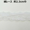 綿レース【訳あり特価！1M90円】約2．3cm巾 2.3cm 23mm 片山 花柄 オフ ホワイト 手づくり ハンドメイド 手芸用品