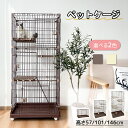 【週末セール 10%OFF】RAKU 【レビュー特典有】猫ケージ 大型 キャットケージ ネコケージ ペットケージ 猫用ケージ キャットハウス ワイド扉 多頭飼い...