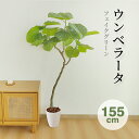 【お買い得 13480⇒12998】RAKU 155cm ウンベラータ フェイクグリーン 大型 人工観葉植物 人工観葉樹 観葉植物 観葉樹 人工植物 人工樹木 ...