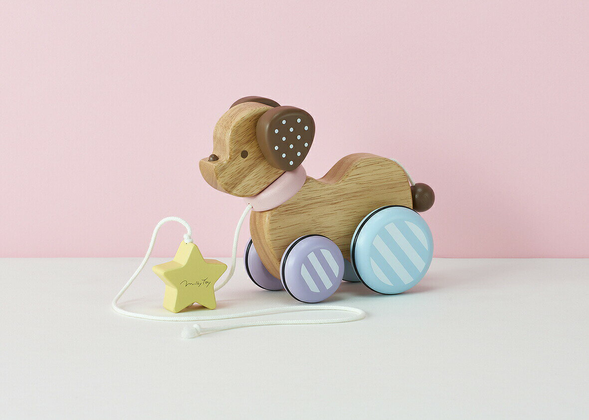 Candy Puppy −キャンディパピー− 1歳以上 知育玩具 学習玩具 おもちゃ エド・インター Ed.Inter 男の子 女の子 幼児教室 保育 先生 ギフト プレゼント 出産祝い 誕生日 クリスマス 贈り物 【ラッピング対象商品】 2