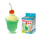 【当日発送可】食品サンプルをつくろう!シュワシュワクリームソーダキット 工作キット 学習玩具 おもちゃ アーテック 男の子 女の子 幼児教室 保育 先生 ギフト プレゼント 出産祝い 誕生日 クリスマス 贈り物