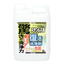 復活洗浄剤ステンレス用 2L カンペハピオ 水回り 洗剤 浴室 シンク 水垢 さび プロ仕様 大掃除