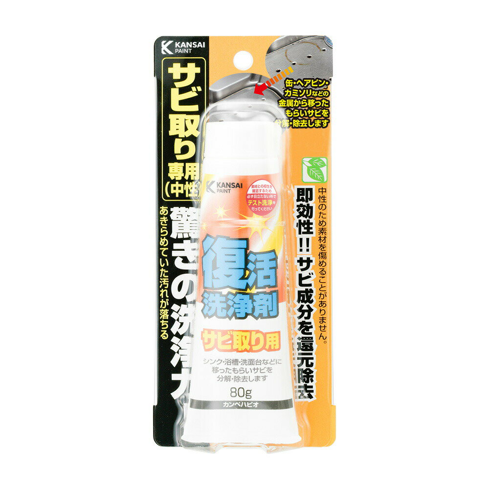 復活洗浄剤サビ取り用 80ml 1