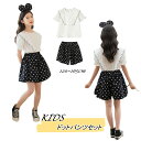セットアップ 女の子 キッズ 韓国子供服 ドットパンツセット 夏服 半袖 ガールズ ブラウス フリル ショートパンツ 2点セット スポーツウェア アウトドア 部...
