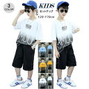 セットアップ 男の子 パンツセット カジュアル 夏 韓国子供服 キッズ スポーツウェア Tシャツ 半袖 ショートパンツ 可愛いプリント ジャージ アウトドア 部...