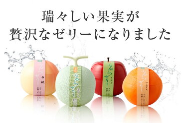 【送料無料・込み】ふるーつぜりー4個入り進物箱タイプ 【お歳暮 高級 ギフト 洋菓子 ゼリー フルーツゼリー 桃ゼリー 白桃ゼリー 敬老の日 誕生日 お祝 お中元 お供え 母の日 父の日 ホワイトデー スイーツ サプライズプレゼント 夏 内祝い 果実型 】