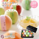 菓子香房 甘泉堂 ゼリー プレミアムタイプふるーつぜりー10個入り送料別【 母の日 ホワイトデー お祝い お年賀 ギフト 詰め合わせ 父の日 敬老の日 高級 洋菓子 ゼリー フルーツゼリー ゼリーギフト 内祝い 法事 お供え お中元 誕生日 スイーツ お歳暮 夏 果実型 御中元 】