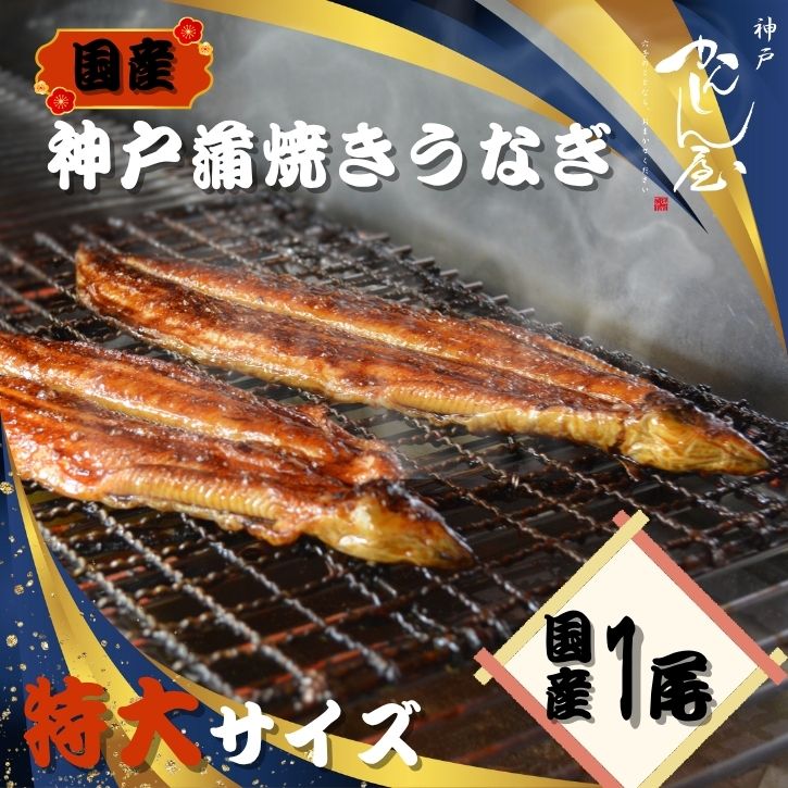 ᤤԾ2,000OFFݥ桪ۡڹ񻺡ۿͳƤʤ/1ʤ    ʪ 顡 ...
