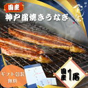 【国産】神戸蒲焼きうなぎ/1尾 うなぎ 国産 蒲焼 食品 食べ物 高級 贅沢 お取り寄せ 贈答品 ギフト 全国発送 真空パック 冷蔵 クール 美味しい 手焼き 土用丑 お中元 父の日 お歳暮 オススメ 人気 兵庫 神戸 海昇