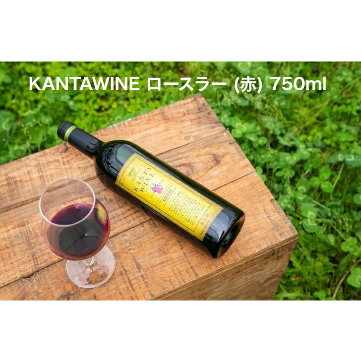 KANTAWINE カンタワイン 赤 ロースラー 岩手県 花巻市 2024 750ml 1本