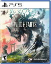 WILD HEARTS（ワイルドハーツ）【中古】 ☆3