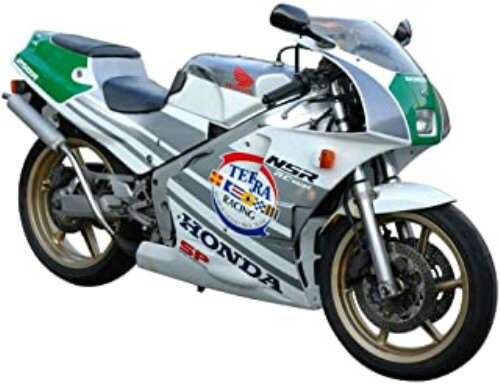 1/12 oCN No.101 Honda '89 NSR250R SPyÁz[2]