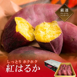 【贈答用ギフト】さつまいも「紅はるか」　品質等級「A」以上　サイズ 「L」5kg以上x1箱（10〜13本）　【化粧箱・ラッピング・のし＆メッセージカード作成サービス】【お歳暮・クリスマス・誕生日・内祝い・野菜】【送料無料】