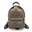 LOUIS VUITTON ルイヴィトン M44871 パームスプリングス バックパックPM モノグラム レディース リュックサック ブラウン 管理RT31366