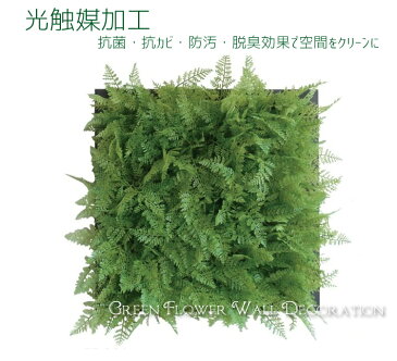 人工観葉植物 オーナメント フェイクグリーン アート 花 観葉植物 観葉植物 フレーム 造花 造草 壁かけ 壁掛け グリーン 壁掛け観葉グリーン 光触媒 消臭 抗菌 おしゃれ 装飾 額入り観葉植物 飾り ハンキング ディスプレイ アートフレーム 【一万円以上で送料無料】