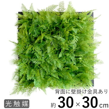 人工観葉植物 オーナメント フェイクグリーン アート 花 観葉植物 観葉植物 フレーム 造花 造草 壁かけ 壁掛け グリーン 壁掛け観葉グリーン 光触媒 消臭 抗菌 おしゃれ 装飾 額入り観葉植物 飾り ハンキング ディスプレイ アートフレーム 【一万円以上で送料無料】