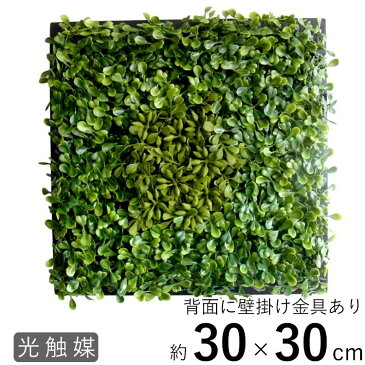 人工観葉植物 おしゃれ 観葉植物 フレーム オーナメント フェイクグリーン アート 花 観葉植物 造花 造草 壁かけ 壁掛け グリーン 壁掛け観葉グリーン 額入り観葉植物 飾り ハンキング ディスプレイ アートフレーム 【一万円以上で送料無料】