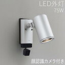 スポットライト 顔識別カメラ付き ライト ガーデン 照明 ガーデン ライト LED 屋外 照明 外灯 カメラ付きスポットライト センサー付き おしゃれ スタイリ...