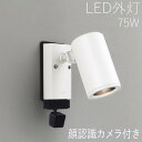 スポットライト 顔識別カメラ付き ライト ガーデン 照明 ガーデン ライト LED 屋外 照明 外灯 カメラ付きスポットライト センサー付き おしゃれ スタイリ...