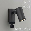 スポットライト 顔識別カメラ付き ライト ガーデン 照明 ガーデン ライト LED 屋外 照明 外灯 カメラ付きスポットライト センサー付き おしゃれ スタイリ...