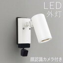 スポットライト 顔識別カメラ付き ライト ガーデン 照明 ガーデン ライト LED 屋外 照明 外灯 カメラ付きスポットライト センサー付き おしゃれ スタイリ...