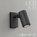 スポットライト 人感センサー付き ライト ガーデン 照明 ガーデン ライト LED 屋外 照明 外灯 スポットライト センサー付き おしゃれ スタイリッシュ エ...