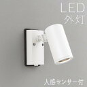 【7/15限定P2倍+先着最大1100円OFF】スポットライト 人感センサー付き ライト ガーデン 照明 ガーデン ライト LED 屋外 照明 外灯 スポットラ...