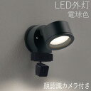 スポットライト 顔識別カメラ付き ライト ガーデン 照明 ガーデン ライト LED 屋外 照明 外灯 カメラ付きスポットライト センサー付き おしゃれ スタイリ...
