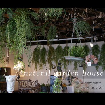 人工観葉植物 おしゃれ アートグリーン フェイクグリーン アーティフィシャルグリーン フレーム オーナメント 花造花 造草 壁掛け ハンキング