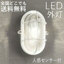 マリンランプ 玄関照明 外灯 屋外 照明 玄関 照明 センサーライト 電気 LED 壁掛け ライト おしゃれ 外 明かり マリンライト 人感センサー付き 船舶 ...