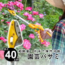 【土日限定P2倍+先着最大800円OFF】剪定はさみ ハサミ 園芸バサミ 剪定 万能 高枝切りばさみ 軽量 植木はさみ 鋏 収穫 園芸 ガーデニング 果実 果樹...