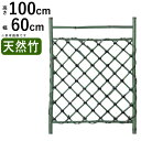 【3連休限定P2倍+先着最大1100円OFF】枝折戸 竹垣 フェンス 天然 竹垣 DIY 扉 竹 門 しおりど 天然青竹枝折戸 天然 青竹 W600 × H1000 庭 門 ゲート 屋外 天然竹 庭 目隠し フェンス 和風 空間 坪庭 日本庭園 和風空間 おしゃれ ガーデニング 天然竹垣 【送料無料】