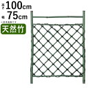 【3連休限定P2倍+先着最大1100円OFF】枝折戸 竹垣 フェンス 天然 竹垣 DIY 扉 竹 門 しおりど 天然青竹枝折戸 天然 青竹 W750 × H1000 庭 門 ゲート 屋外 天然竹 庭 目隠し フェンス 和風 空間 坪庭 日本庭園 和風空間 おしゃれ ガーデニング 天然竹垣 【送料無料】