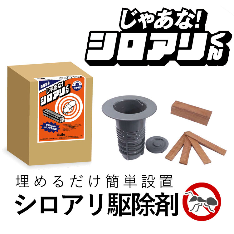 ��12/25����P2��+�������250��OFF�ۥ����������� ���������к� �������� ����� �֤��� �٥������� ��� ��¶�� ��� ���� ���� �к� ����...