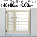 門扉 親子開き 門 アルミ 門扉 DIY アルミ門扉 シンプレオ 門扉 M1型 親子開き 040810 扉幅40cm+80cm×高さ100cm 全幅1406mm...