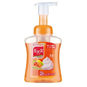 ミューズ 泡ハンドソープW フルーティーフレッシュ(250mL)3個【医薬部外品】(4906156801057-3) ミューズ 泡ハンドソープW フルーティーフレッシュ(250mL)3個【医薬部外品】(4906156801057-3)