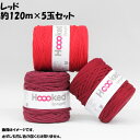 送料無料 DMC Hoooked Zpagetti フックドゥ ズパゲッティ 超極太 800Red レッド 約120m×5玉セット