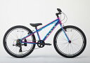 MARIN マリン 2025 DONKY Jr 24 LIMITED COLOR ドンキー ジュニア 24 リミテッド カラー [グロスギャラクシー・グロスサン...
