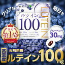ルテイン100mg 高濃度 ルテイン ブルーベリー30mg サプリ ゼアキサンチン5mg アスタキサンチン1.2mg クランベリー1mg 栄養機能食品 ビタミンA ビタミンB1 ビタミンB6 新日本ヘルス 60粒 30日分 サプリメント 国内GMP認定工場製造