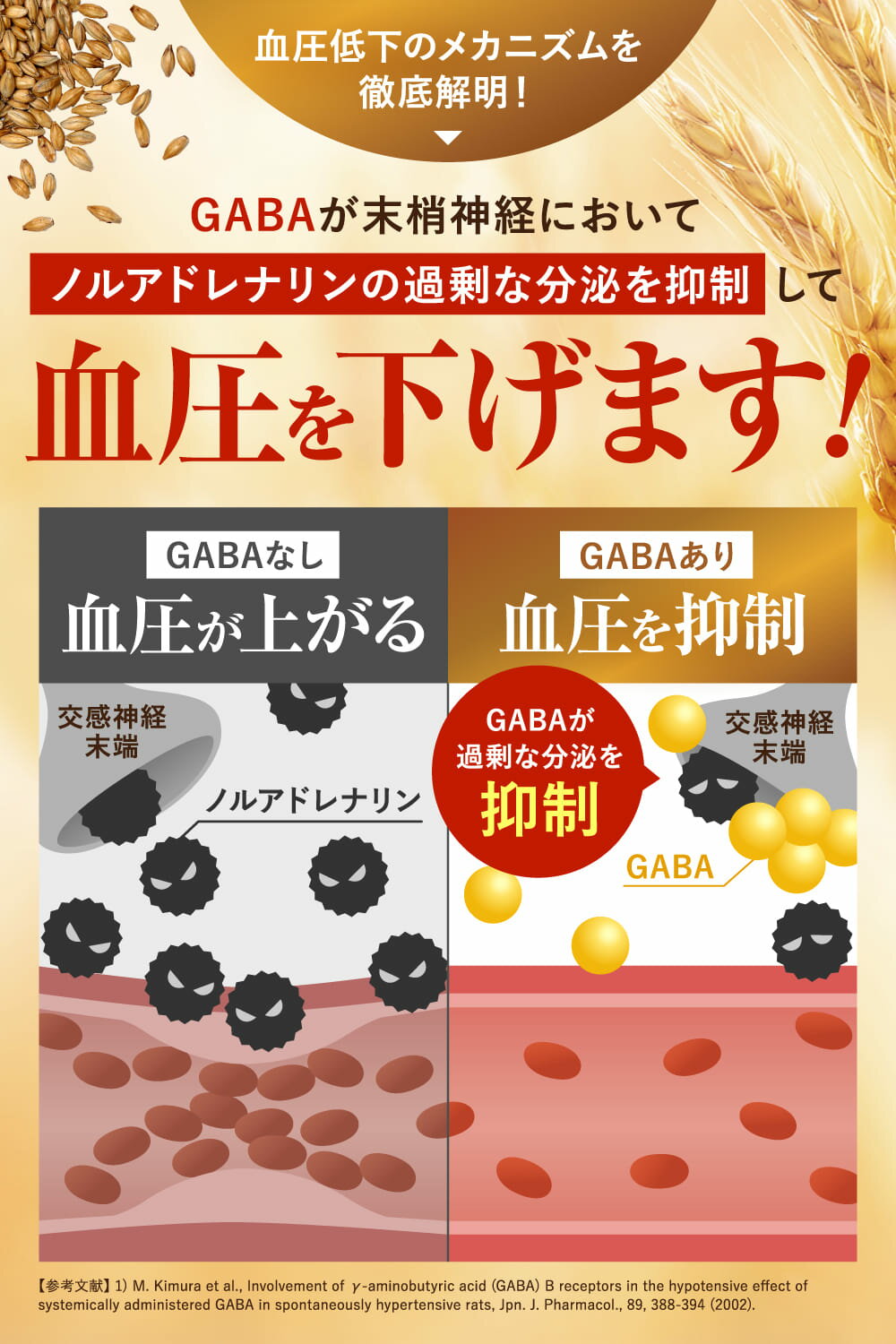 血圧・脂肪のWケア 高めの血圧を下げる おなかの脂肪を下げる GABA ブラックジンジャー 新日本ヘルス 60粒 約30日分 田七人参末 サラシアエキス L-カルニチン カプサイシン 3