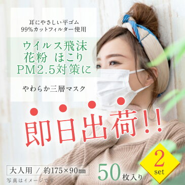 3層 不織布 マスク 50枚 (以下検索キーワード) サージカルマスク 在庫あり ゴム 箱 フィルター ウイルス 99%カット 医療用 新品 ウレタン 柄 大きめ おしゃれ 携帯 大人 シート スプレー 即納 大量 使い捨て 取り替えシート やわらか 不織布 ワイヤー vfe