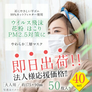 三層 不織布 マスク 50枚 法人 (以下検索キーワード) サージカルマスク 在庫あり ゴム 箱 フィルター ウイルス 99%カット 医療用 新品 ウレタン 柄 大きめ おしゃれ 携帯 大人 シート スプレー 即納 大量 使い捨て 取り替えシート やわらか 不織布 ワイヤー vfe