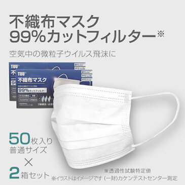 マスク 在庫有り 50枚 2個セット 100枚 使い捨てマスク 不織布マスク 大人用 抗菌 メンズ レディース 男女兼用 粉塵 花粉 ウイルス飛沫 風邪 ウイルス対策マスク ウイルス フェイスマスク 通勤 通学 大人