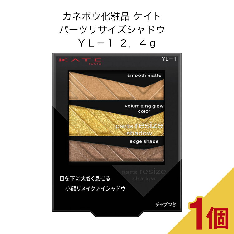 カネボウ化粧品 ケイト　パーツリサイズシャドウ　YL?1 2．4g