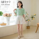 キッズ 子供服 女の子 2点セット 半袖トップス 半ズボン カジュアル 上下セット 春夏 子供服 女の子 スウェット カジュアルパンツ 韓国ども服 かわいい カジュアルパンツ セットアップ 卒園式 入学式 パーティ120/130/140/150/160/165cm